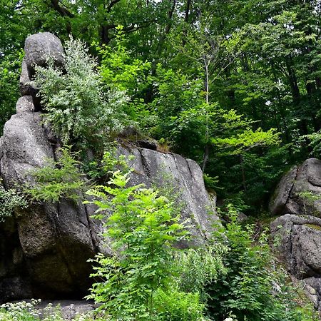 Sosnówka Wilcza Gajowka 빌라 외부 사진