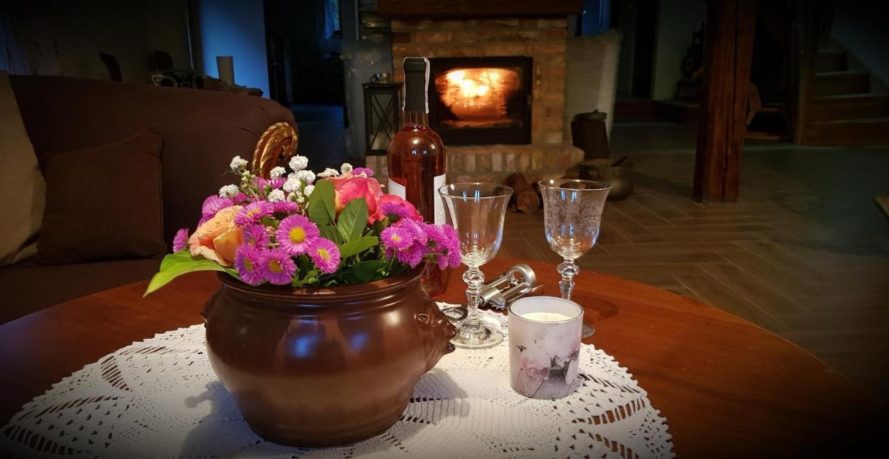 Sosnówka Wilcza Gajowka 빌라 외부 사진